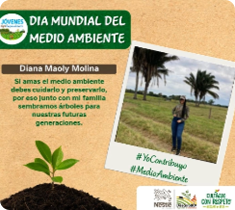 Dia mundial del medio ambiente