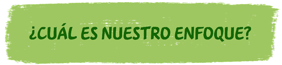 cual es nuestro enfoque