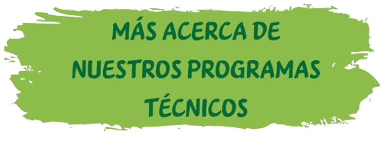 Conoce nuestro enfoque