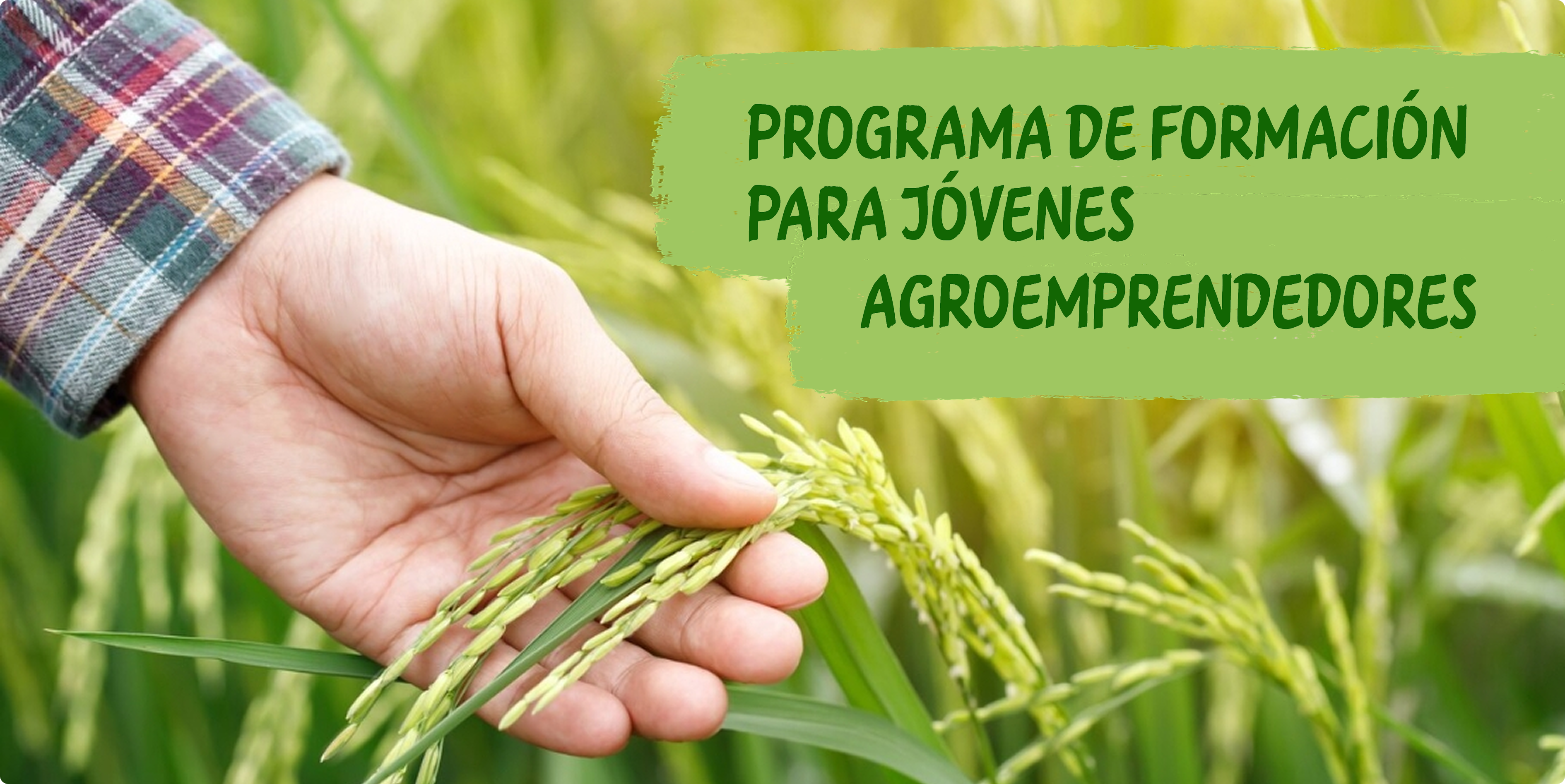 Slider agroemprendedores