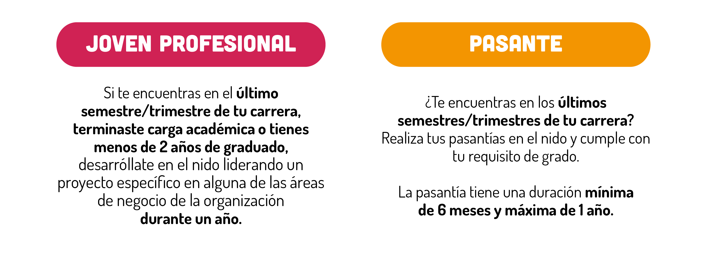 Perfil del Joven Profesional y Pasante