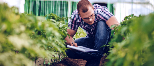 Agricultura sostenible: 10 acciones que puedes aplicar en tu finca